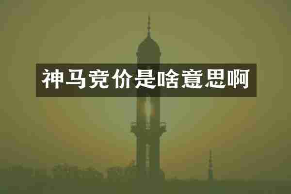 神马竞价是啥意思啊