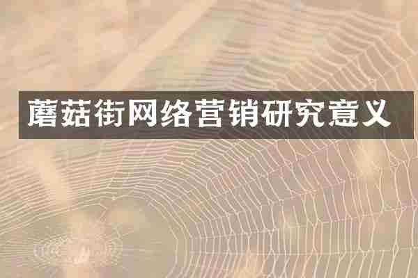 蘑菇街网络营销研究意义