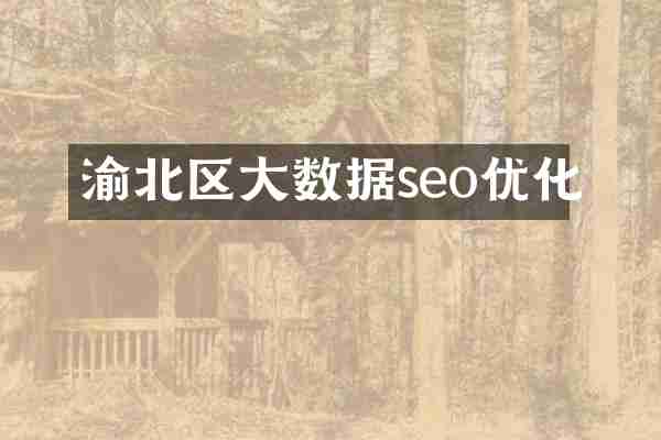 渝北区大数据seo优化