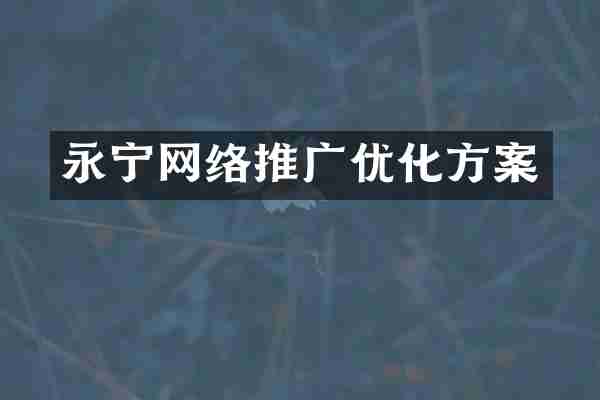 永宁网络推广优化方案