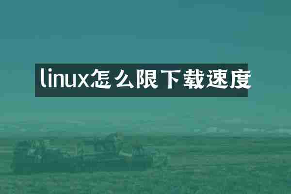 linux怎么限下载速度