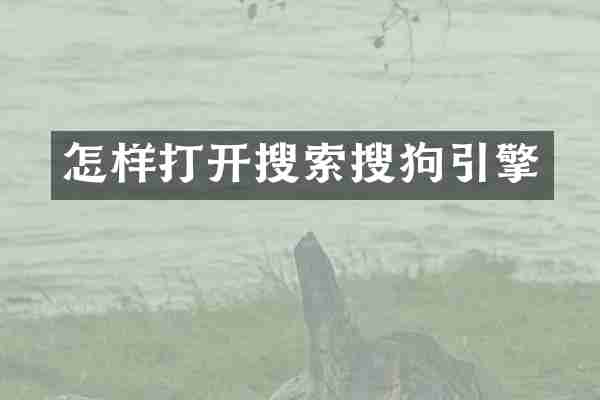 怎样打开搜索搜狗引擎