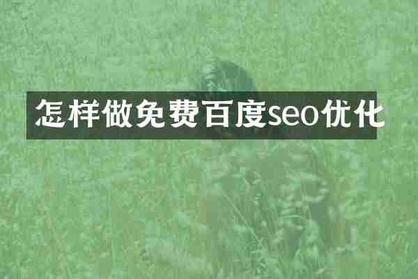 怎样做免费百度seo优化