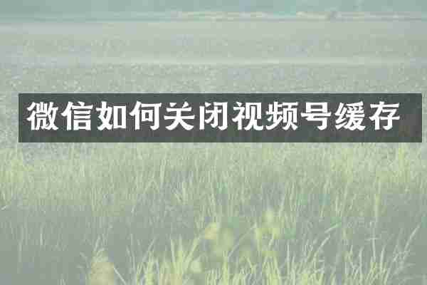 微信如何关闭视频号缓存