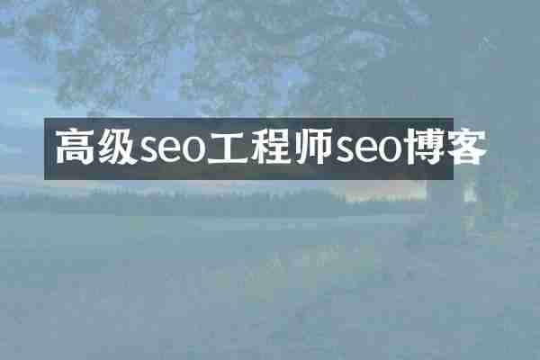 高级seo工程师seo博客