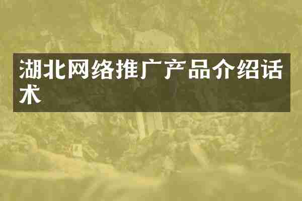 湖北网络推广产品介绍话术