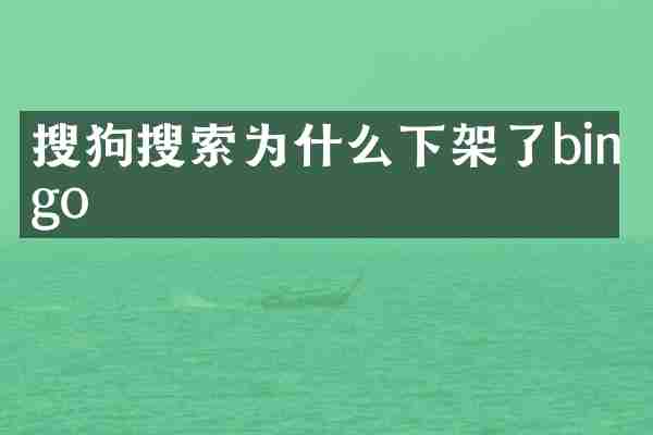 搜狗搜索为什么下架了bingo