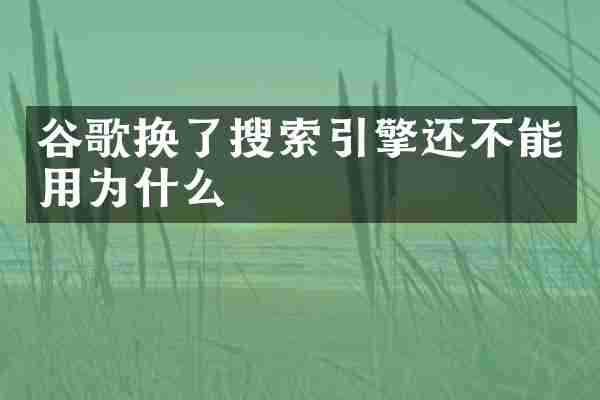 谷歌换了搜索引擎还不能用为什么