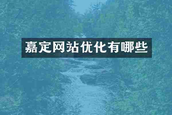 嘉定网站优化有哪些