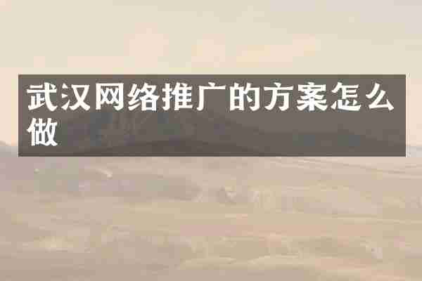 武汉网络推广的方案怎么做