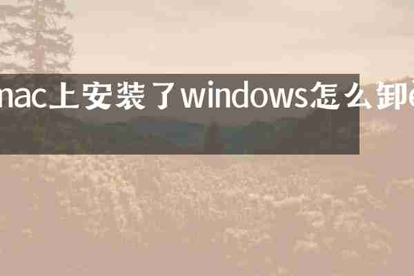 mac上安装了windows怎么卸载
