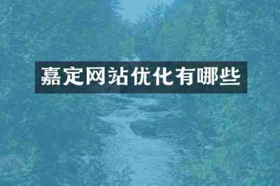 嘉定网站优化有哪些