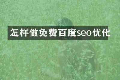 怎样做免费百度seo优化