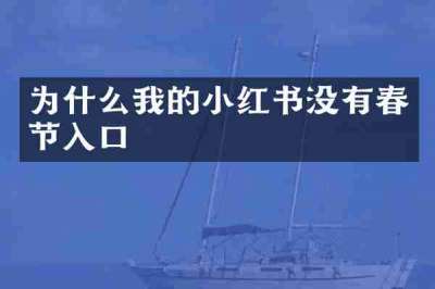 为什么我的小红书没有春节入口