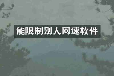 能限制别人网速软件