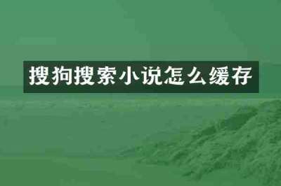 搜狗搜索小说怎么缓存