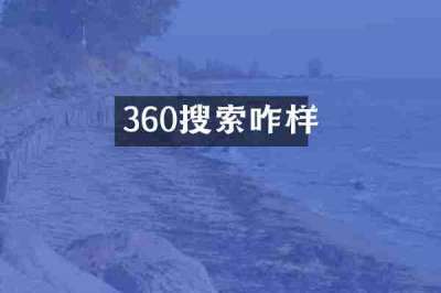 360搜索咋样