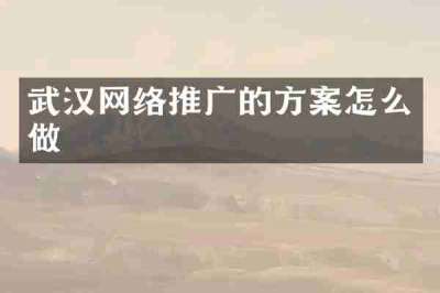 武汉网络推广的方案怎么做