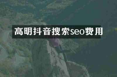 高明抖音搜索seo费用