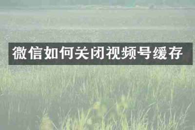 微信如何关闭视频号缓存