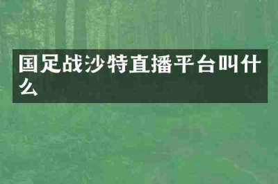 国足战沙特直播平台叫什么