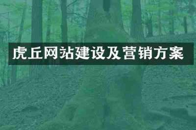 虎丘网站建设及营销方案