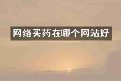 网络买药在哪个网站好
