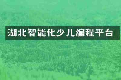 湖北智能化少儿编程平台