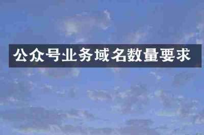 公众号业务域名数量要求
