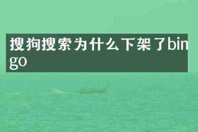 搜狗搜索为什么下架了bingo