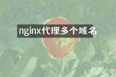 nginx代理多个域名