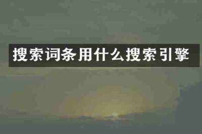 搜索词条用什么搜索引擎