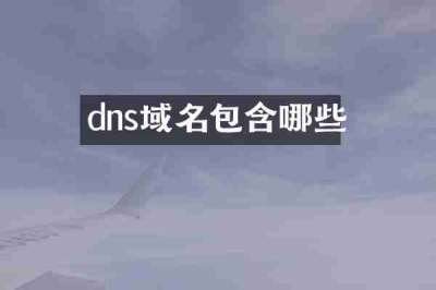 dns域名包含哪些