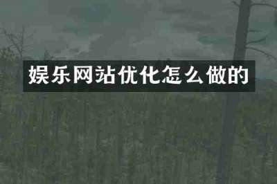 娱乐网站优化怎么做的