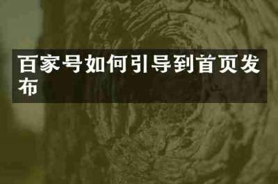 百家号如何引导到首页发布