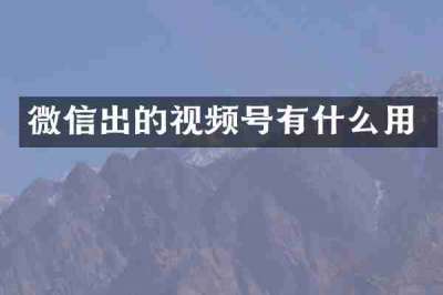 微信出的视频号有什么用
