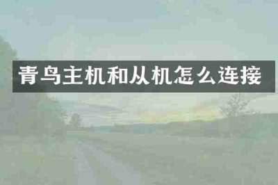 青鸟主机和从机怎么连接