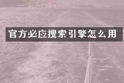 官方必应搜索引擎怎么用