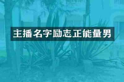 主播名字励志正能量男