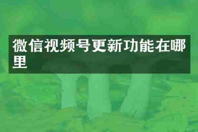 微信视频号更新功能在哪里