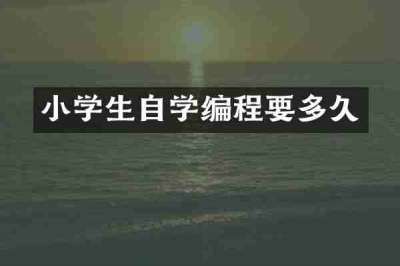 小学生自学编程要多久