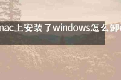 mac上安装了windows怎么卸载