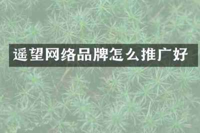 遥望网络品牌怎么推广好