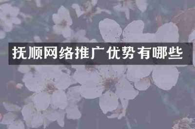 抚顺网络推广优势有哪些