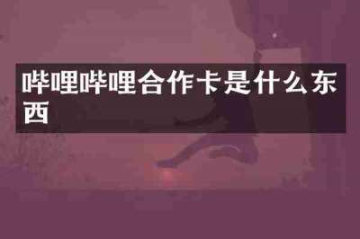 哔哩哔哩合作卡是什么东西