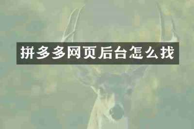 拼多多网页后台怎么找