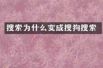 搜索为什么变成搜狗搜索