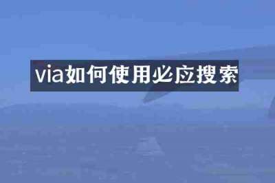 via如何使用必应搜索