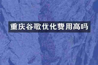 重庆谷歌优化费用高吗