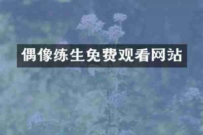 偶像练生免费观看网站